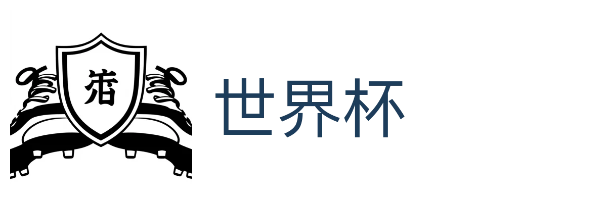 世界杯